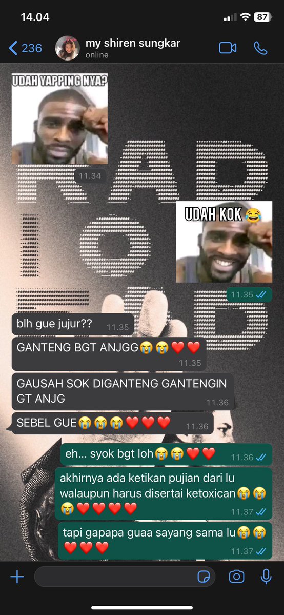 sa ☆ REST. tweet media