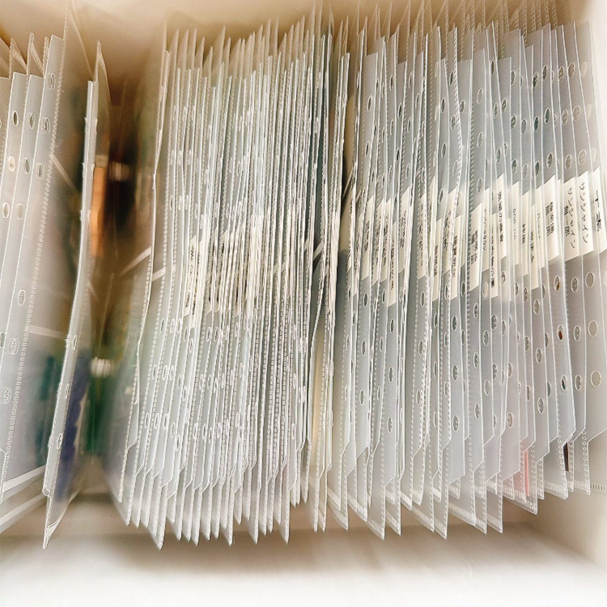 ちさ@初回固定ツイ必読 tweet media