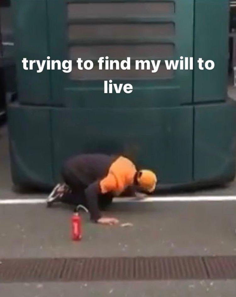 laura ᵕ̈ tweet media