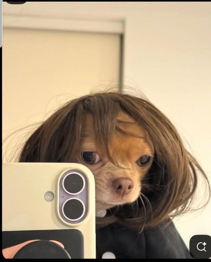 Helen crypt tweet media