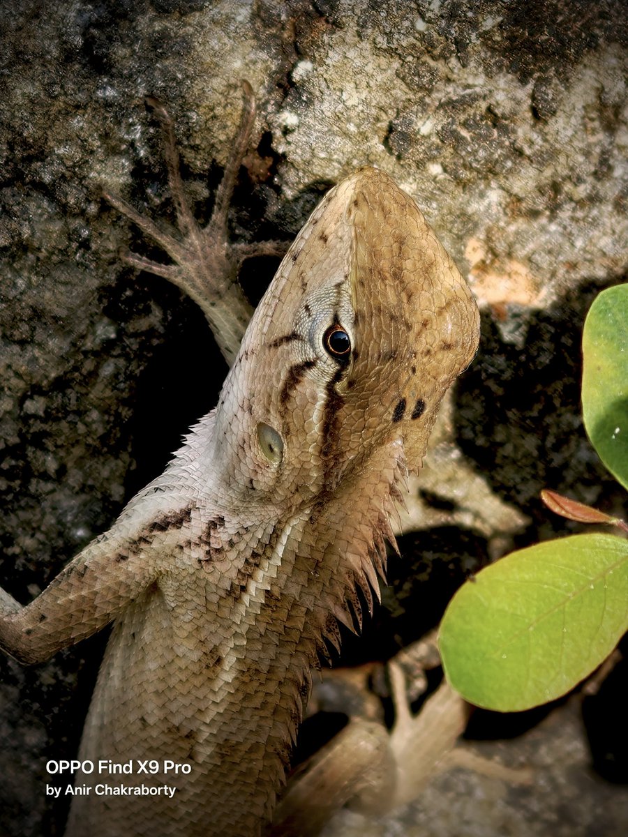 Anir Chakraborty tweet media