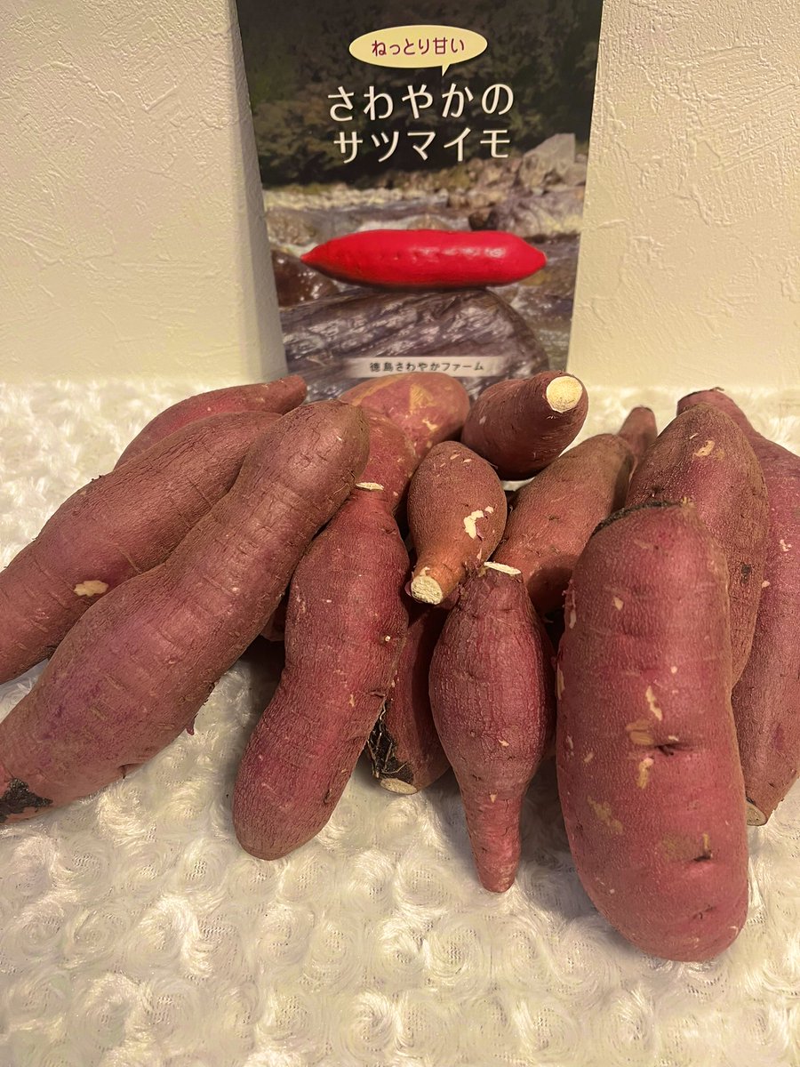 suminn 🐶🤟🏻 tweet media