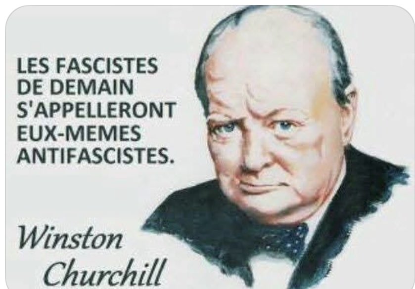 Tima Urielle tweet media