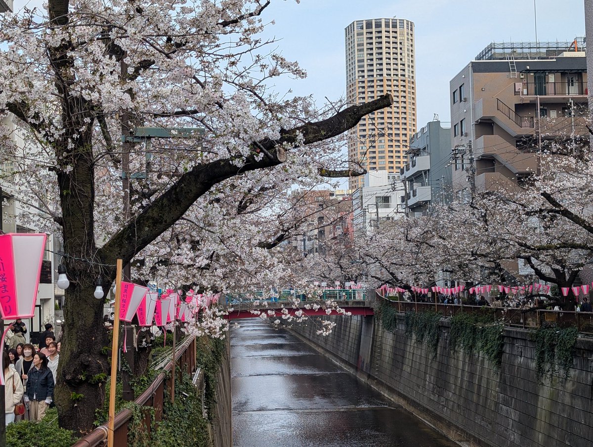 ひとことめ tweet media