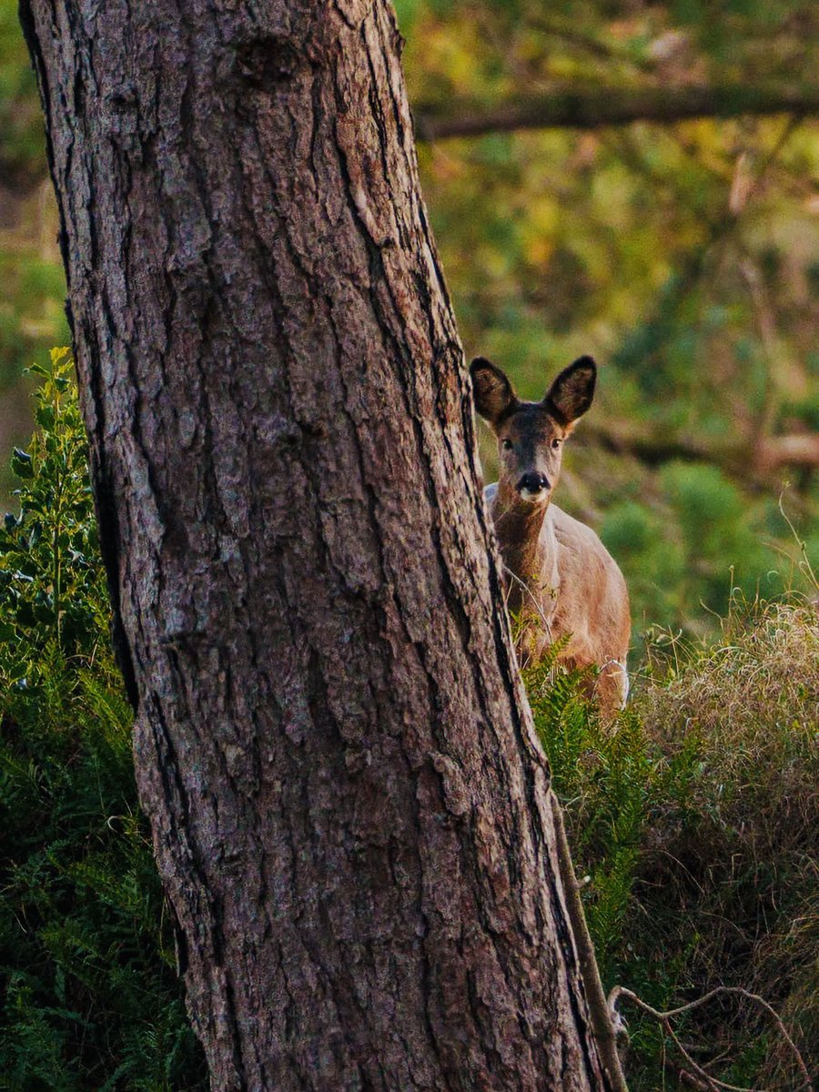 Coast1079 tweet media