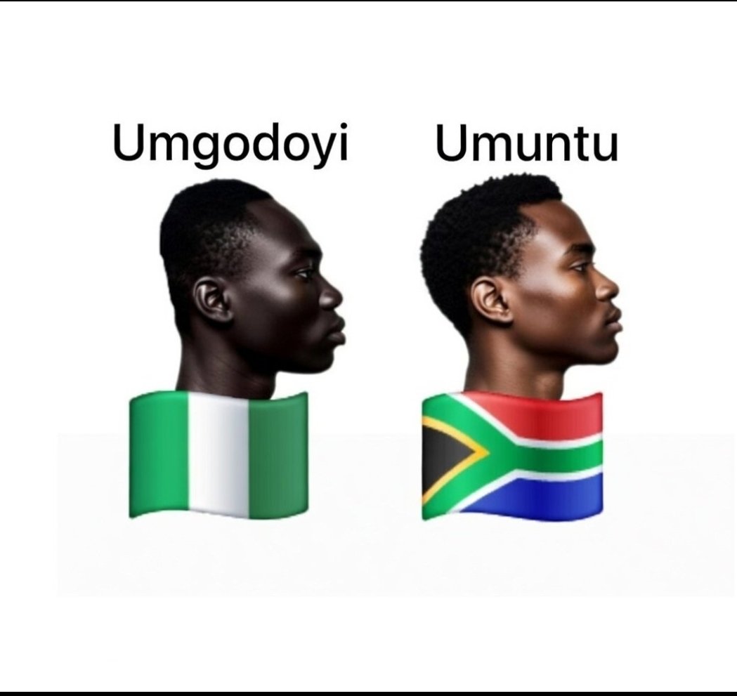 🇲🇦 Aksel tweet media