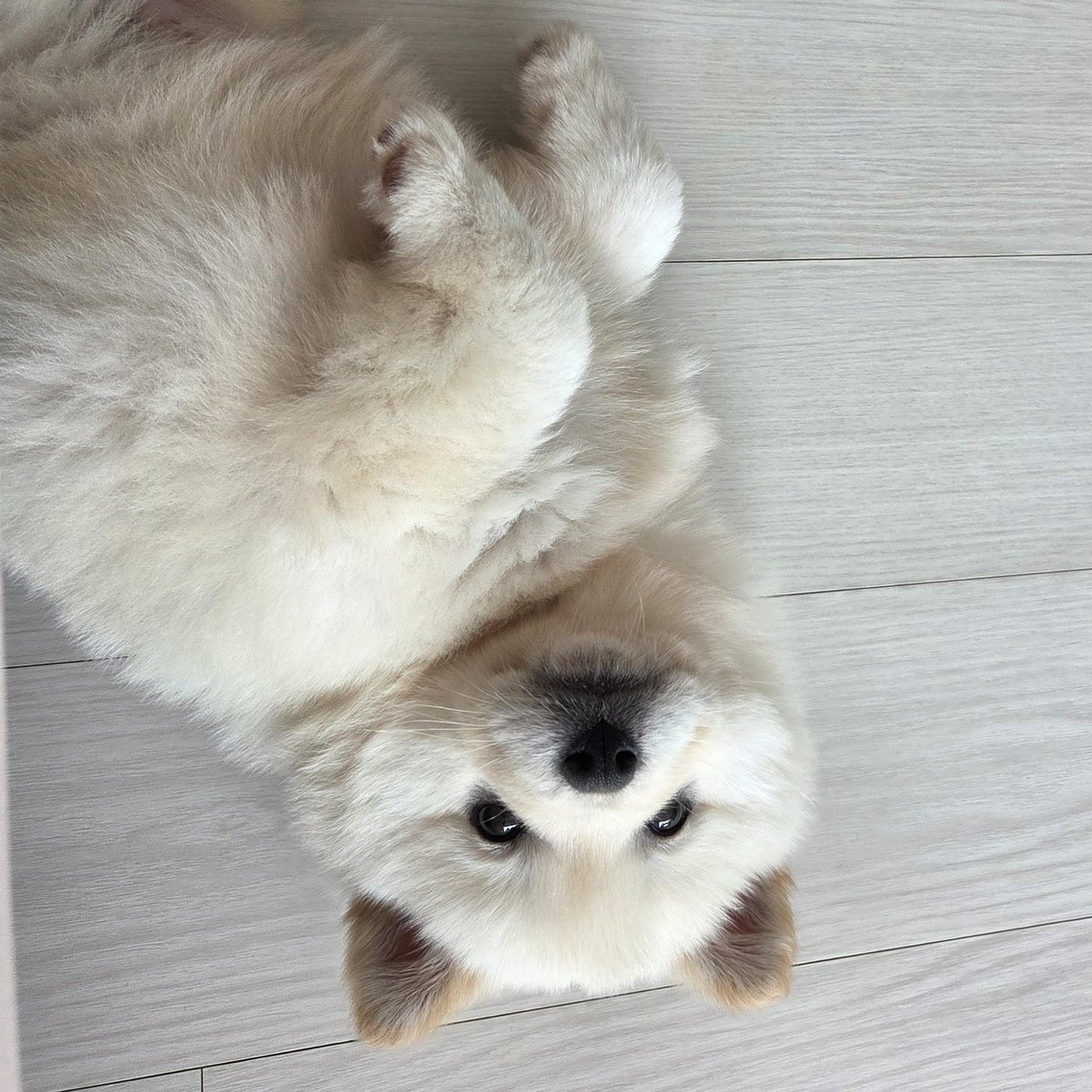 김미르의 성장일지 tweet media