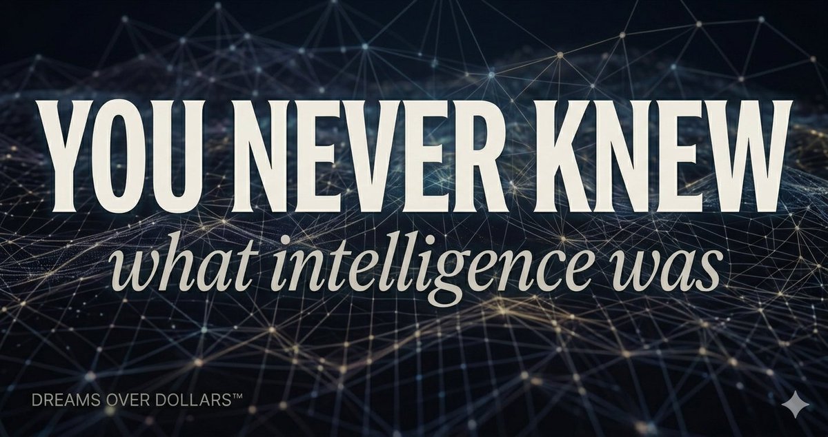 JoeCat ® tweet media