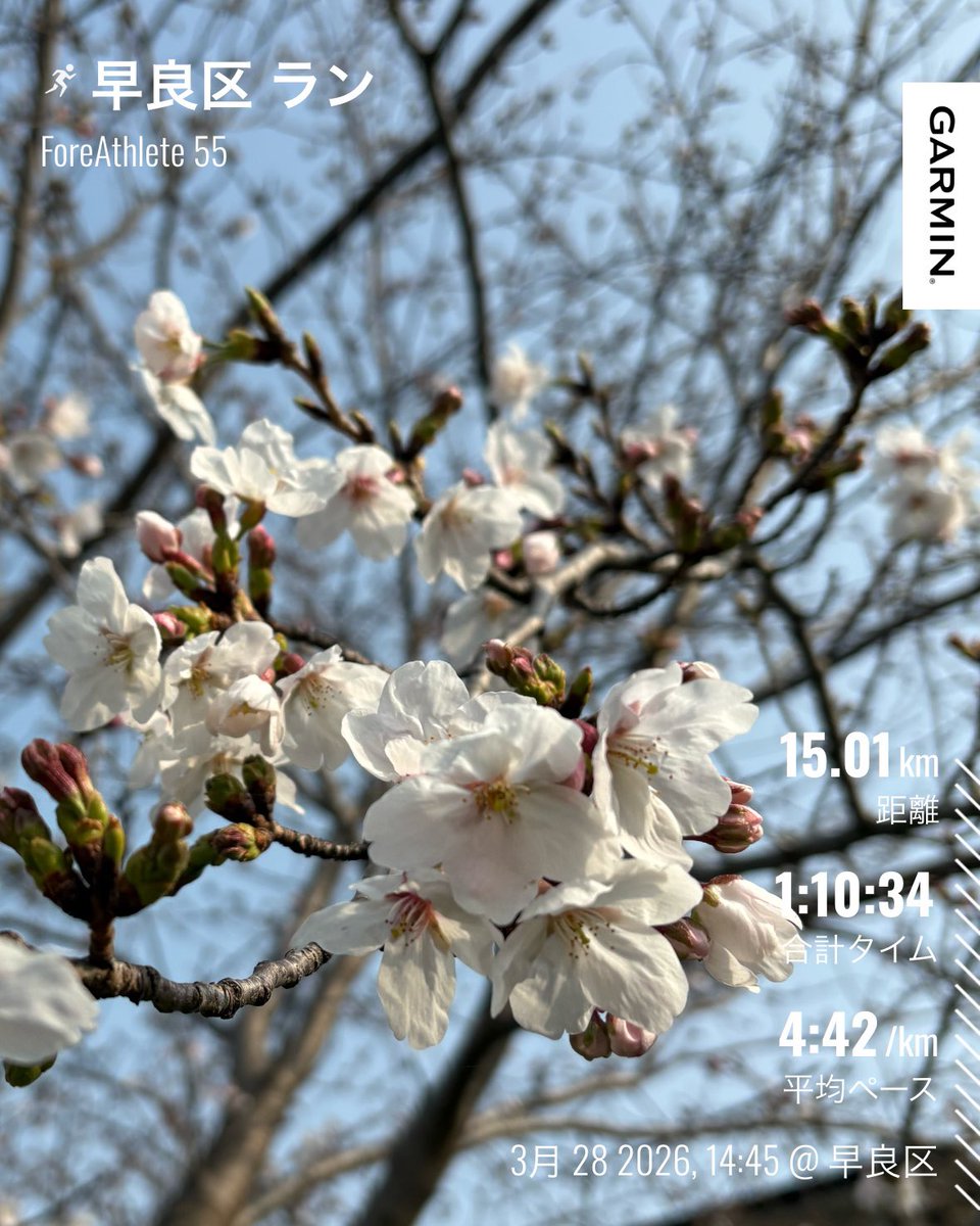 はっしー@サブエガ挑戦 家事3子育児中 tweet media