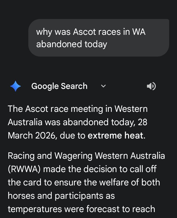 Sharon McKay🐦 tweet media