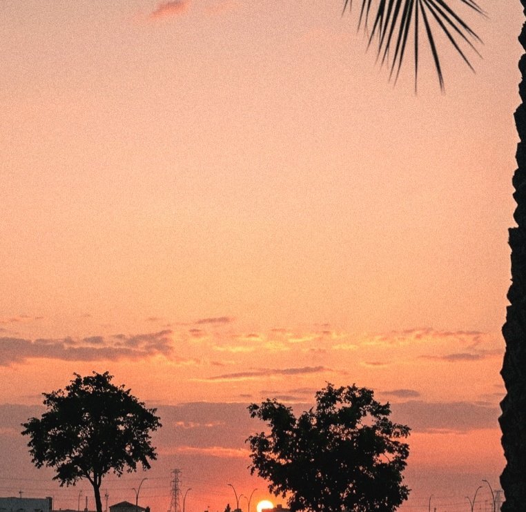 حليمه||يا الله. tweet media