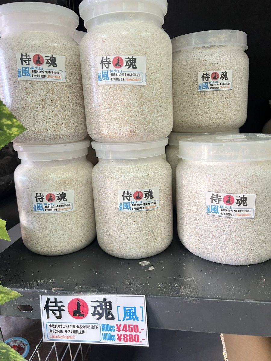 ブラッキー　クワカブ専門店 tweet media