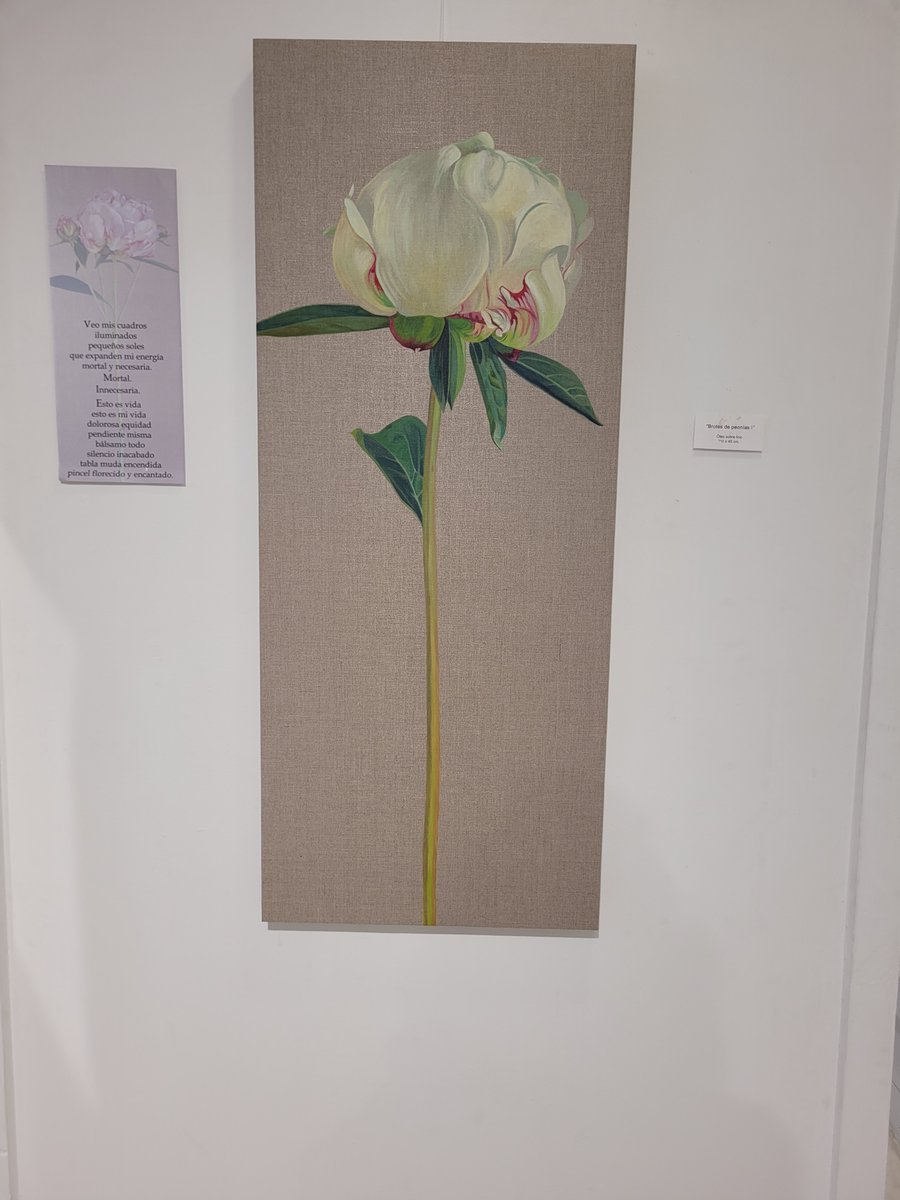 CuriosidadNatural tweet media