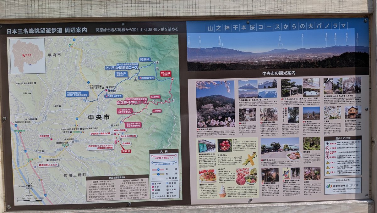 HHH（トリプルH）🌼🌼🌼🌼🌼 tweet media