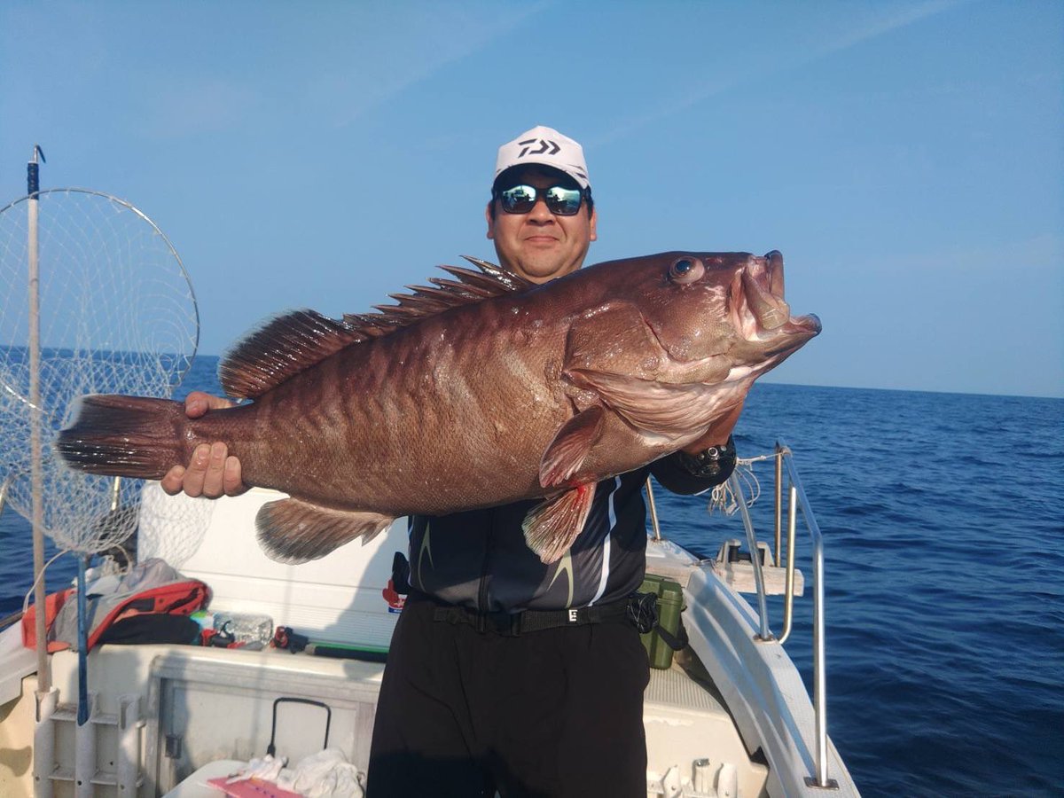 コマツ🍆🌾🎣🐻🦌🐗 tweet media