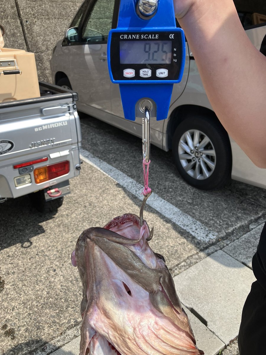 コマツ🍆🌾🎣🐻🦌🐗 tweet media