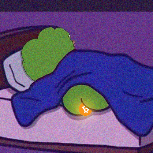 bondz 🟠 tweet media