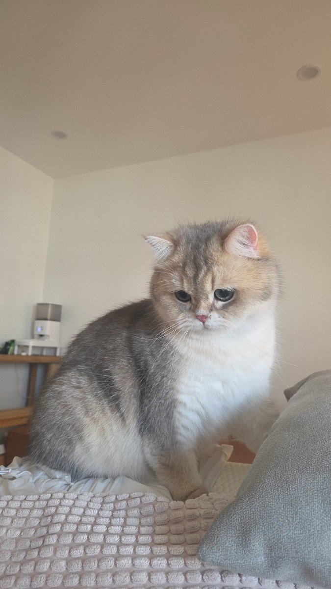 aeroaero95 tweet media