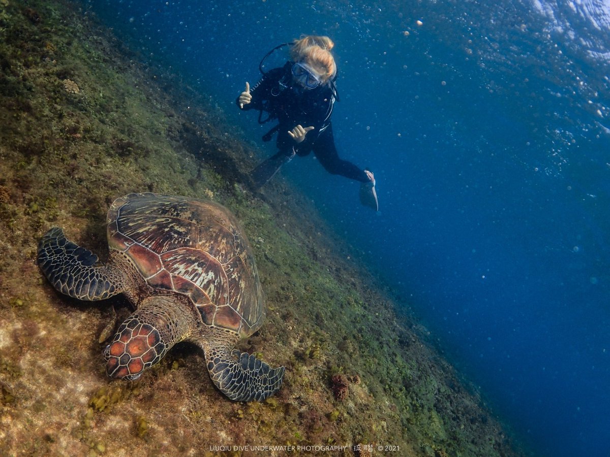韓老師👩🏻‍🏫 tweet media