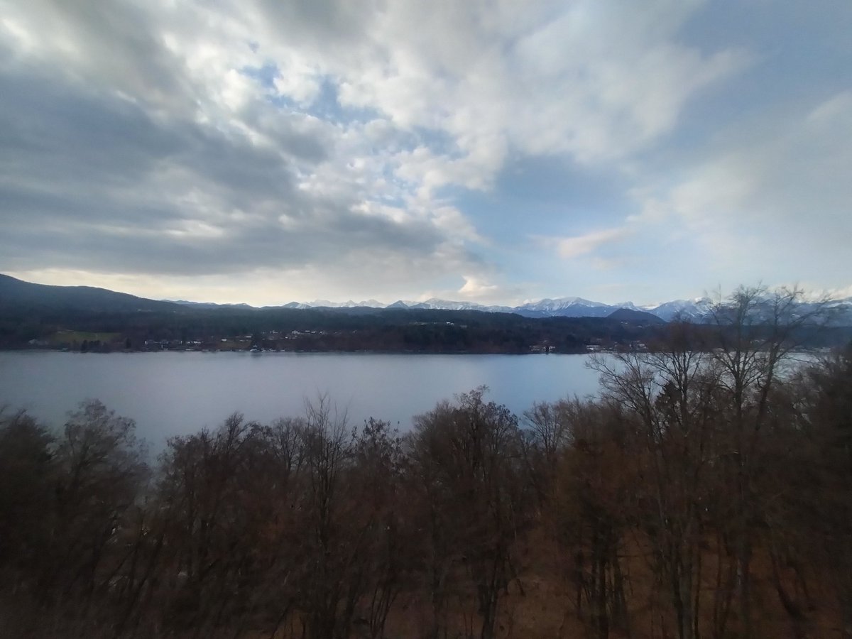 Luca Manfredini tweet media