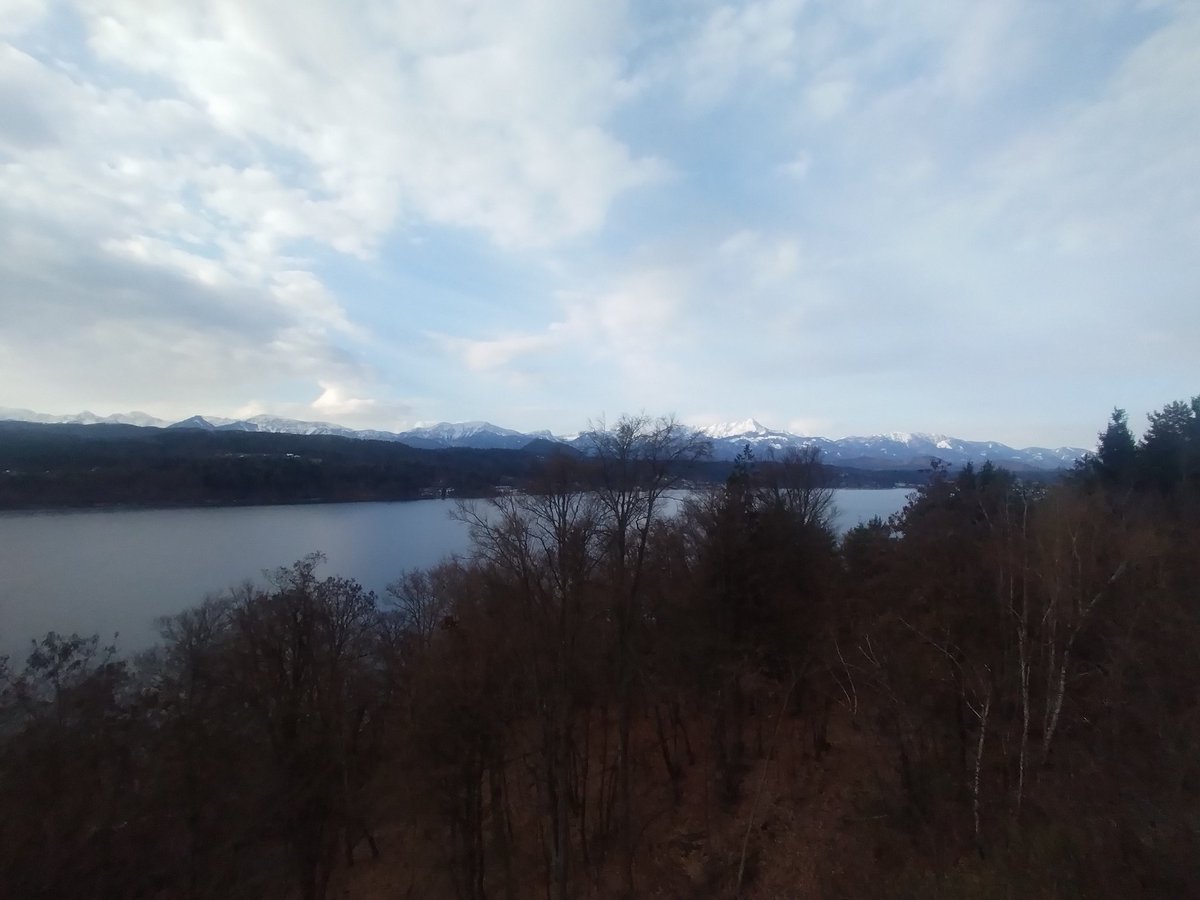 Luca Manfredini tweet media