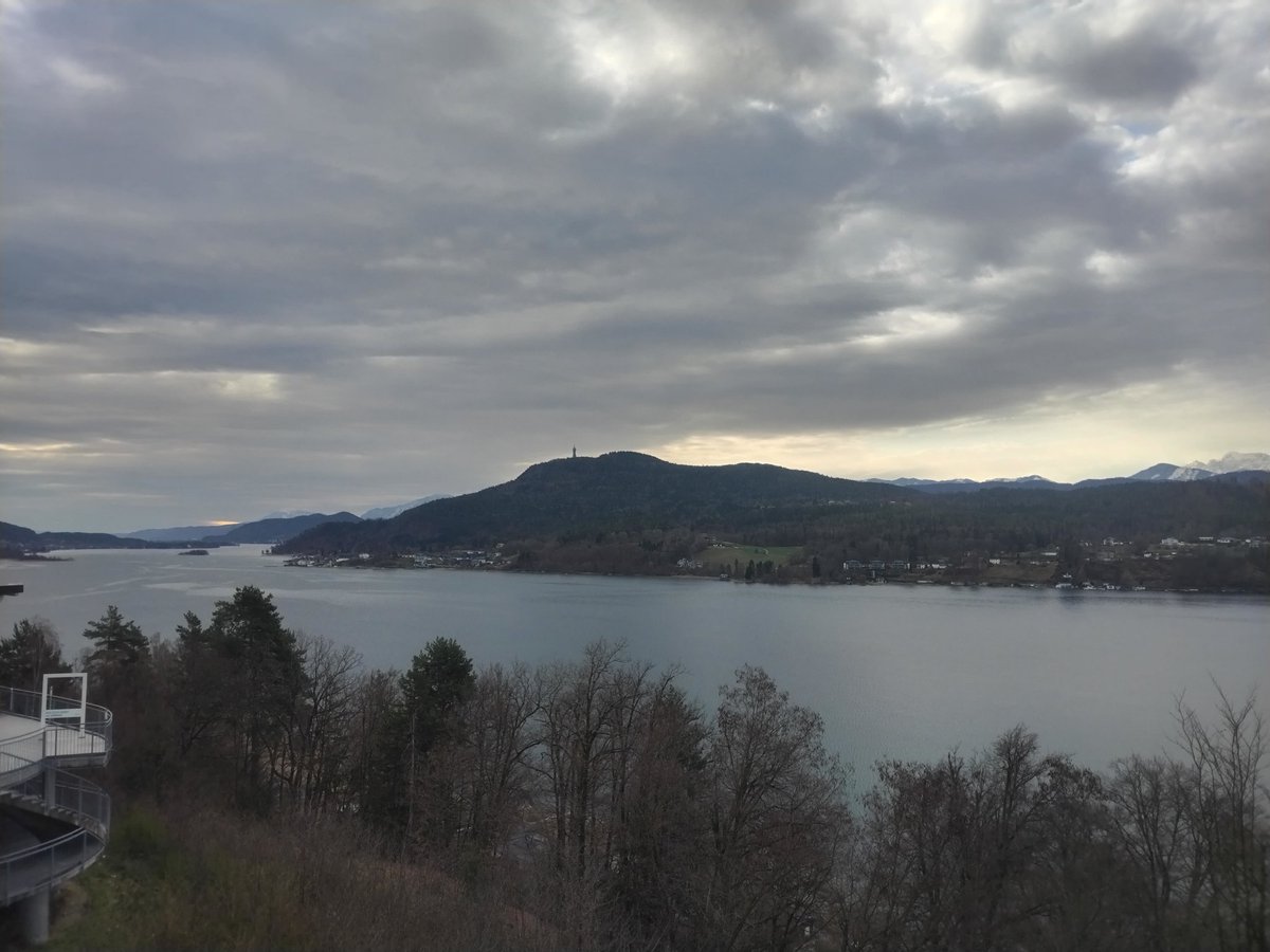 Luca Manfredini tweet media