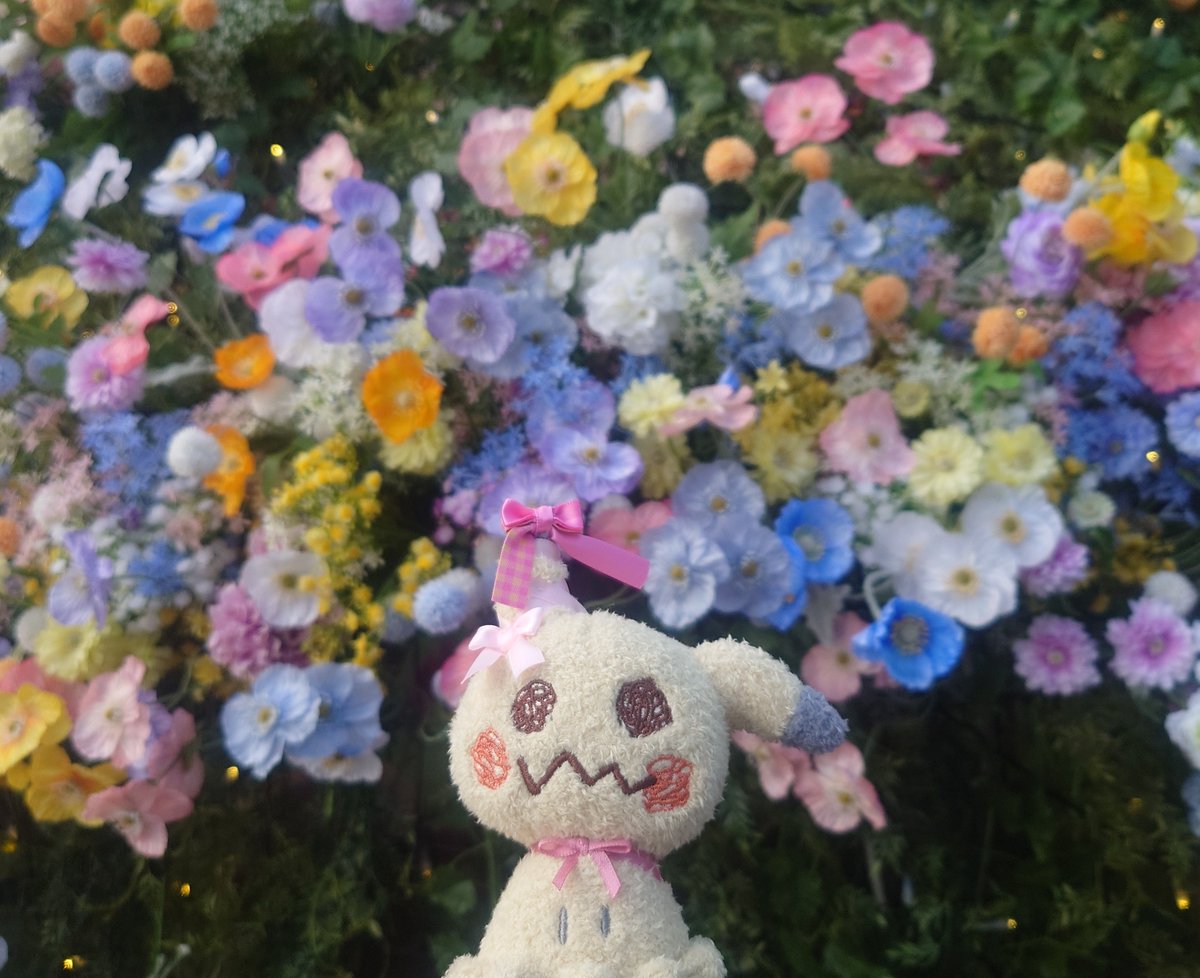 きゃしこ tweet media