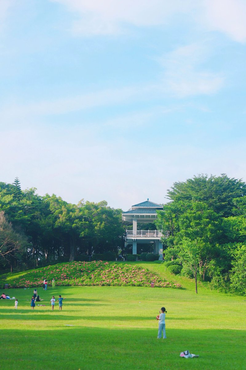 FcoxFromTj tweet media