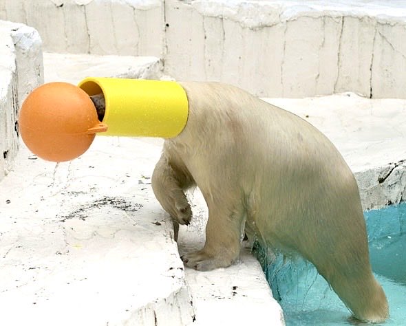 おやびん tweet media