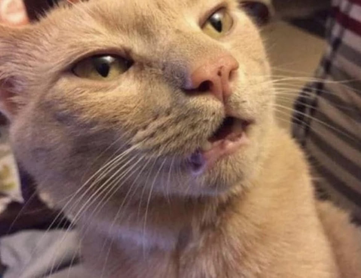 Ajibola Jbea tweet media