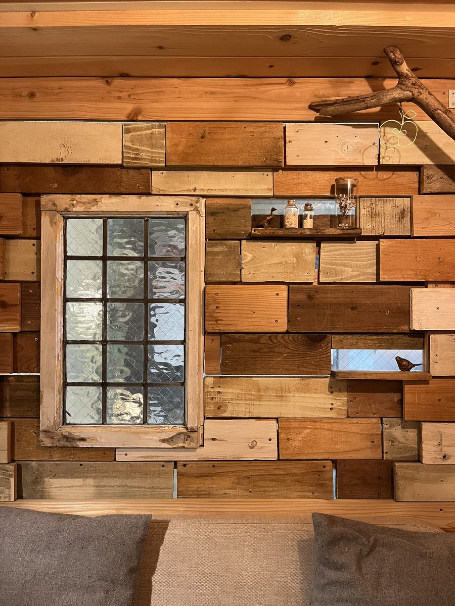 【月曜】ネガティブカフェ&バー モリオウチ　【火水木金土日】個室ミニ水そうカフェ＆バー モリオウチ tweet media