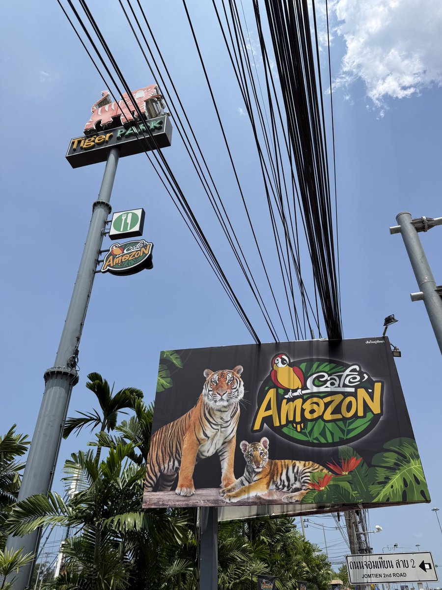 NThai0822's tweet photo. カフェアマゾンはタイガーパークにも🐅🦜 https://t.co/J2BTRBj7T8