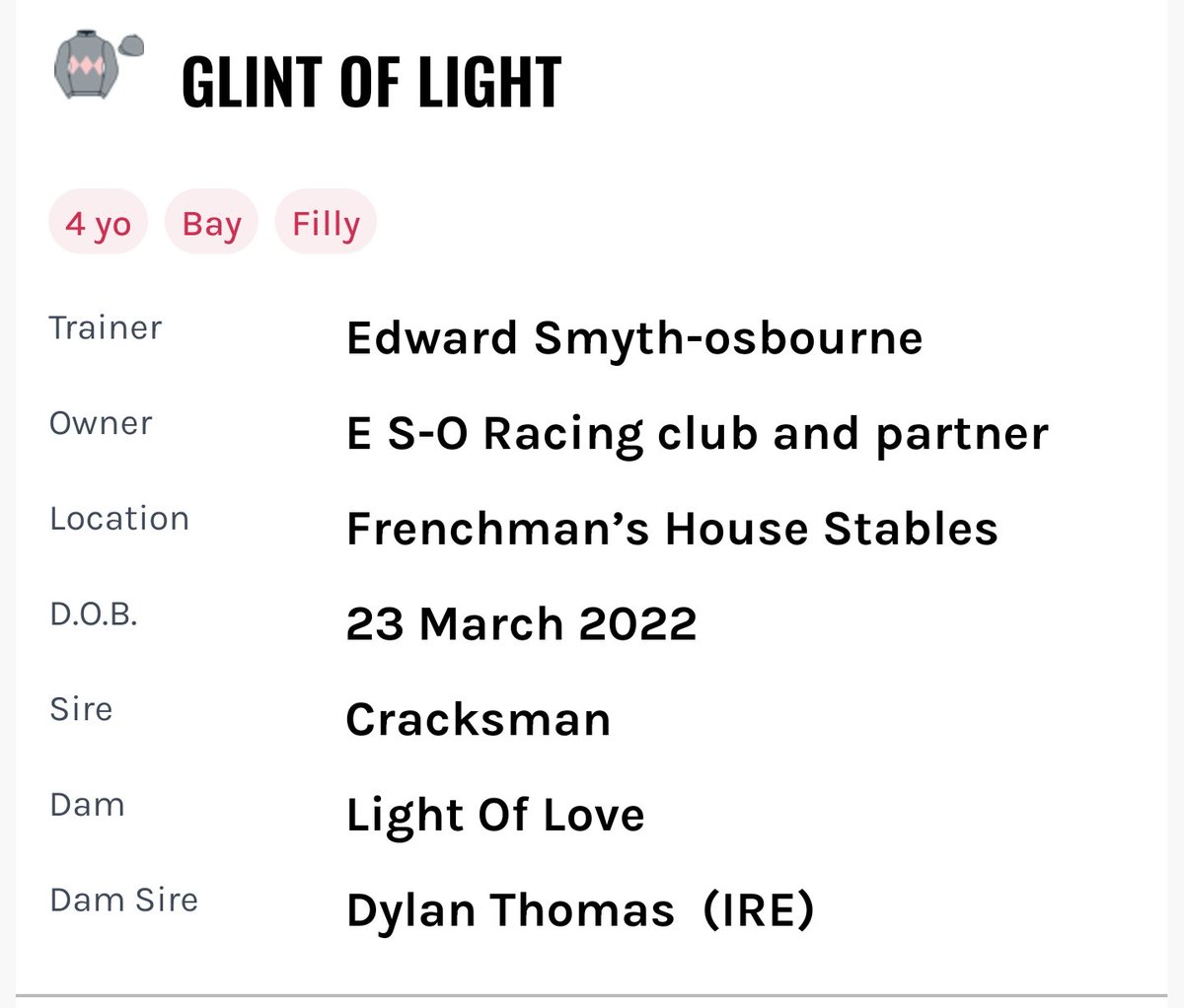 Steve 🐎 tweet media