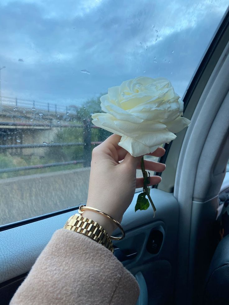 شغف القصيدة 📚 tweet media