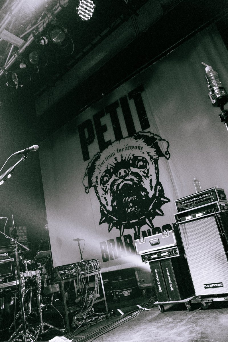 Petit Brabancon tweet media