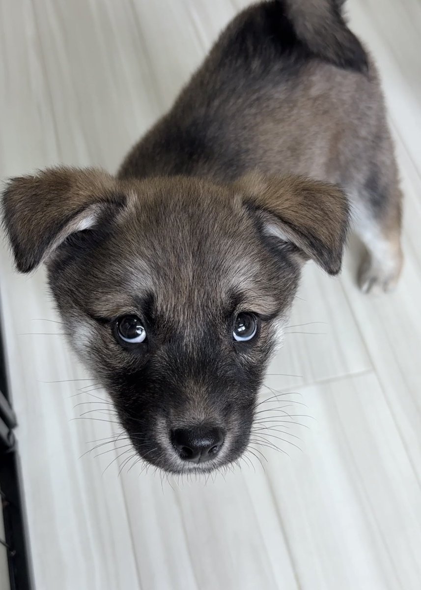 ボクだけ家族が見つからない😢