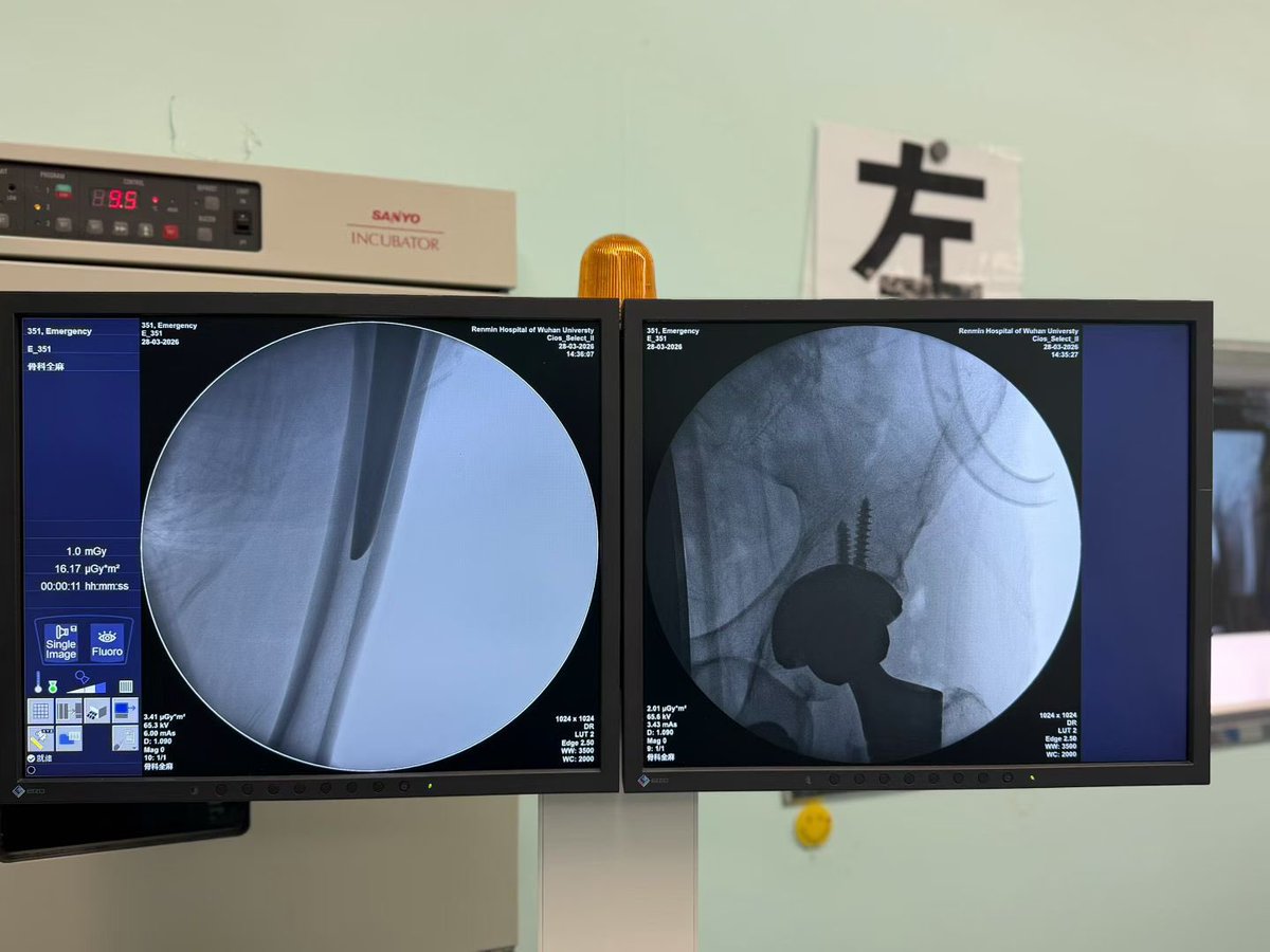 惹尘埃 tweet media