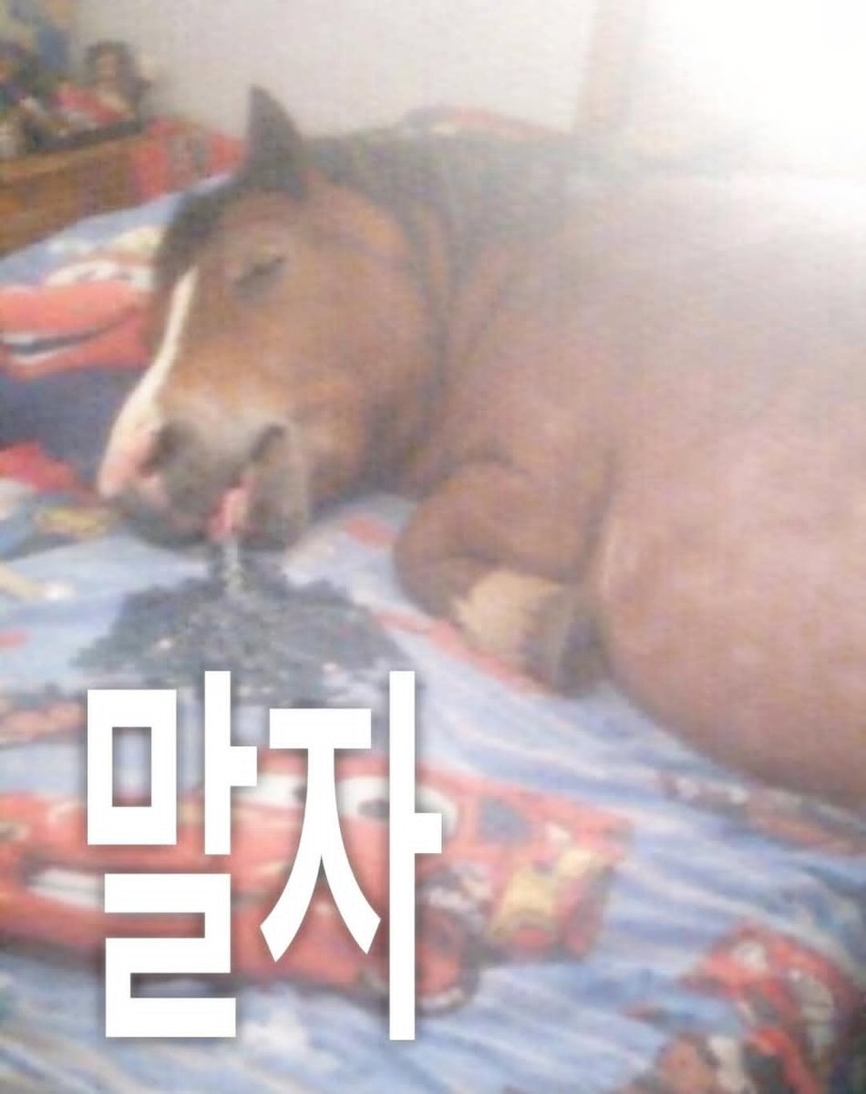 감자자 tweet media