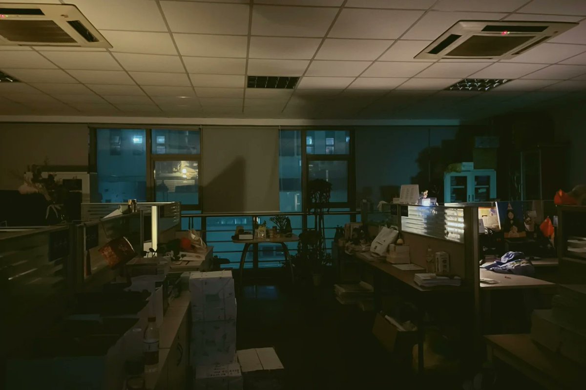 Lynne Palumbo tweet media