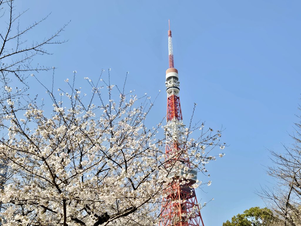さいとうさん tweet media