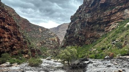 MosselBay Advertiser tweet media