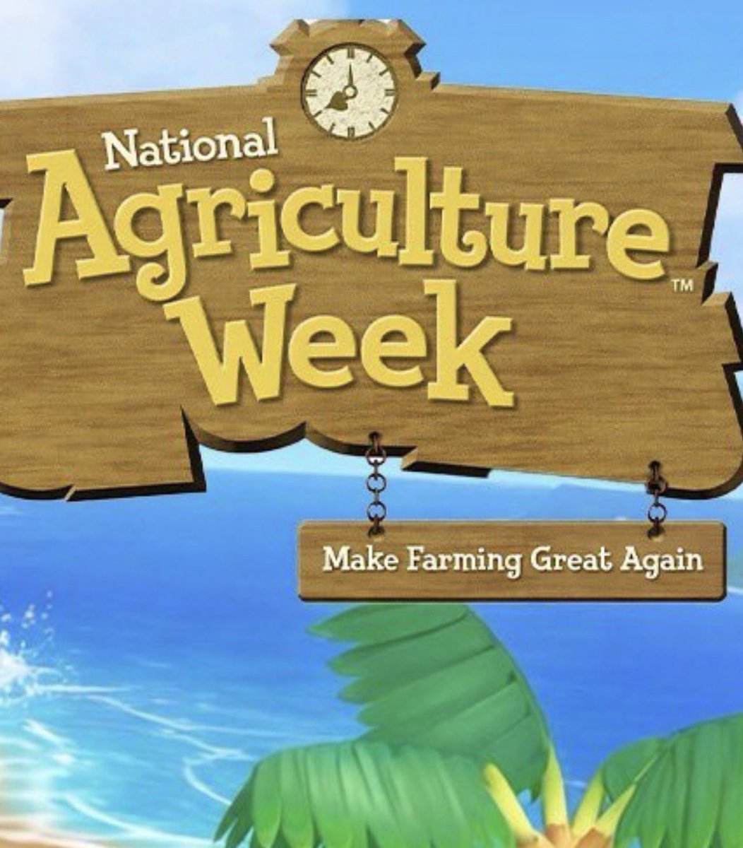 🐸1ヒックリカエル7🐸 tweet media