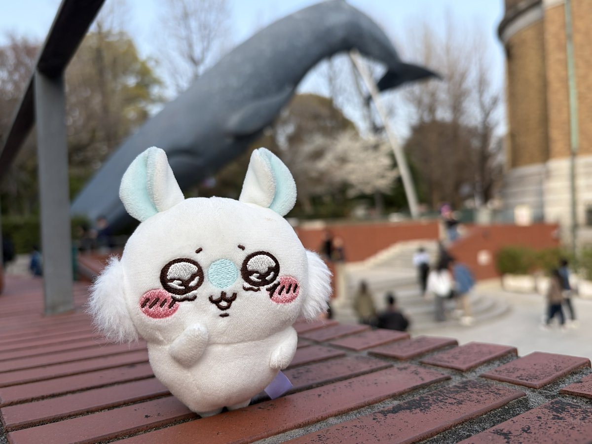 なべち tweet media