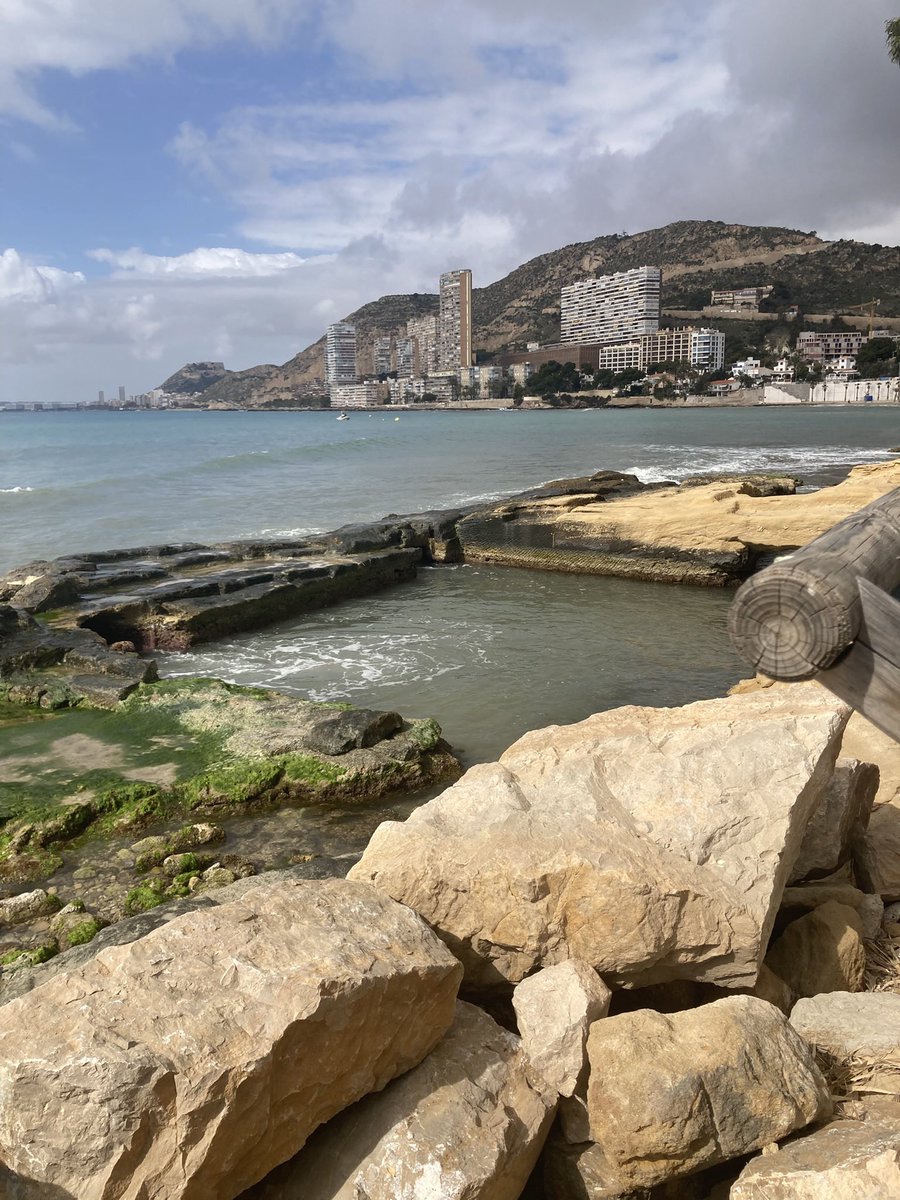 Tim Hodkinson tweet media