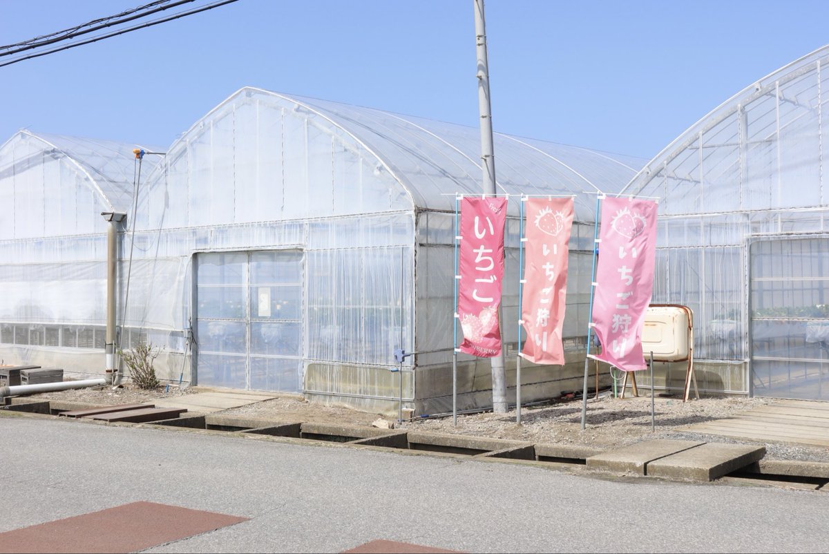 Aちゃん tweet media