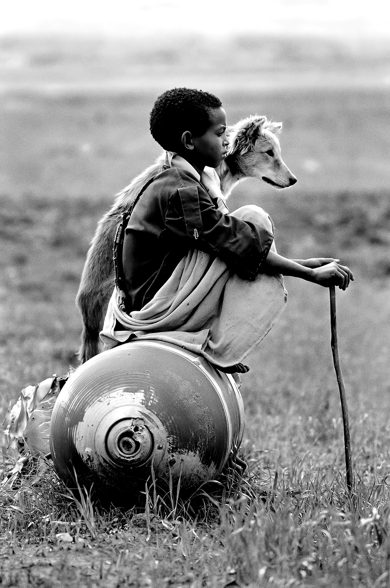 CameraLab tweet media