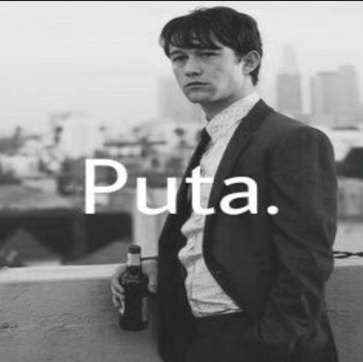 Oveja TobyX🐑 tweet media