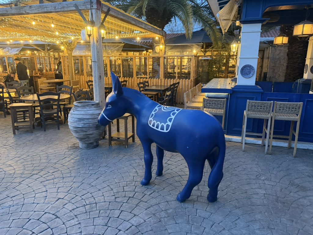 Balln Coach 🔺 🏀 tweet media