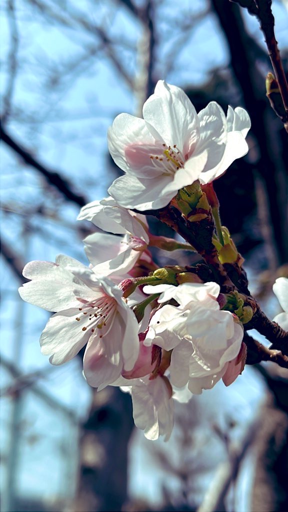 03damono tweet media