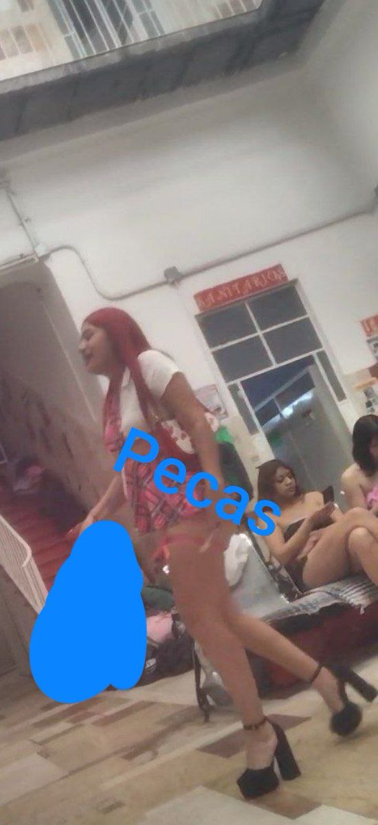 Pecass098 tweet media